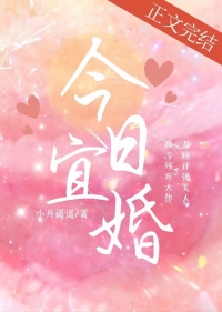 今日宜婚小舟遥遥免费阅读